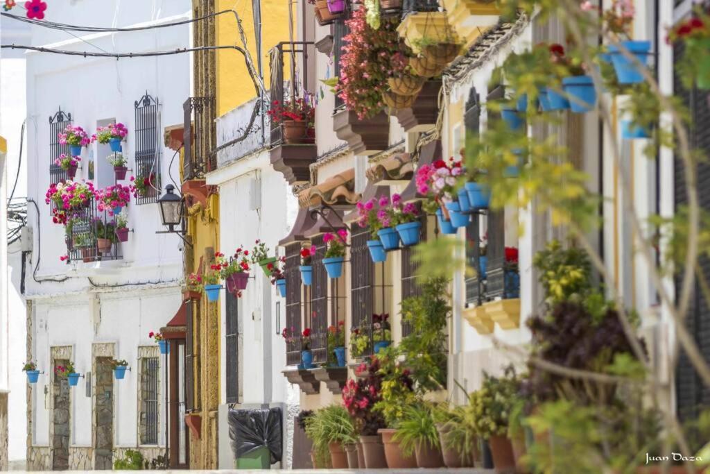 Casa "Las Flores" 巴尔巴特 外观 照片